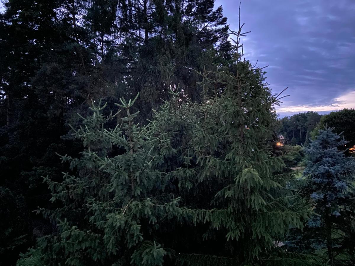 Aparthotel Waldwerk Wurlgrund Lychen Exteriér fotografie